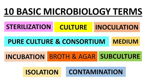 Basic Terms Used In Microbiology Class For Microbiology Freshers