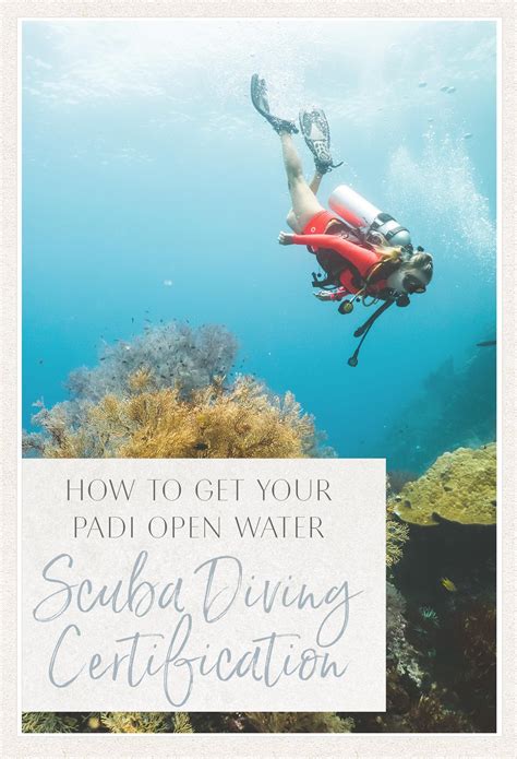 We did not find results for: How to Get Your PADI Open Water Scuba Diving Certification ...