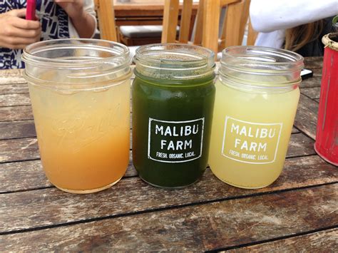 24 transparent png illustrations and cipart matching malibu rum. Vector Logo: Malibu Rum in 2020 | Malibu rum, Malibu ...