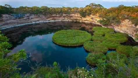 Un Lugar Increíble La Reserva De La Biósfera El Cielo En Tamaulipas