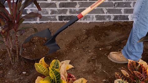 garden spade shovel definition fasci garden