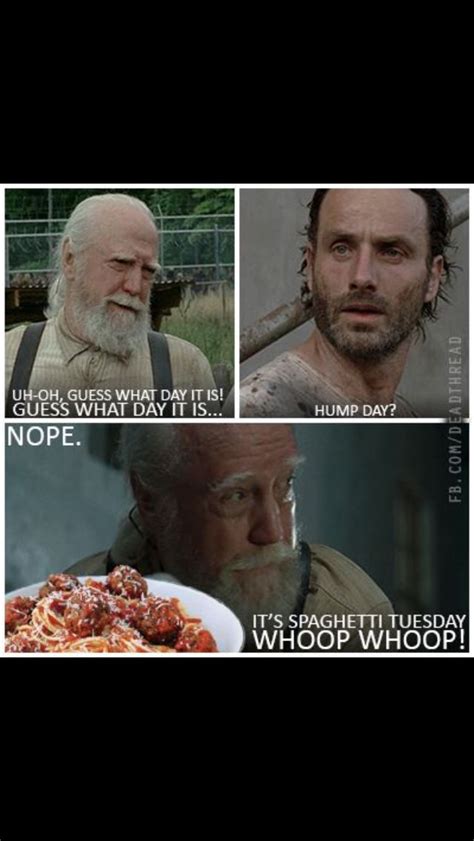Funny The Walking Dead Funny Quotes Pinterest