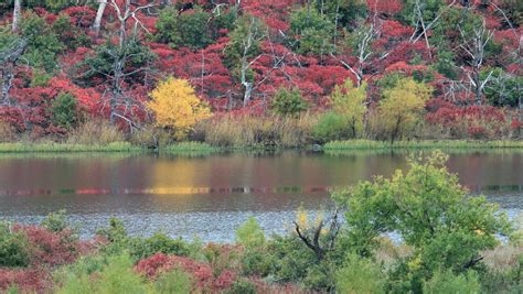Best Time To See Oklahoma Fall Foliage 2024 When To See Roveme