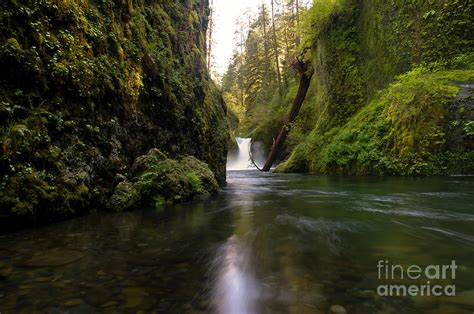 Punch Bowl Falls Columbia River Gorge Photograph By Jackie Follett