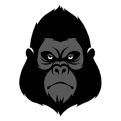 Dangerous Gorilla Head Vector Animal Vector Images Furious Gorilla