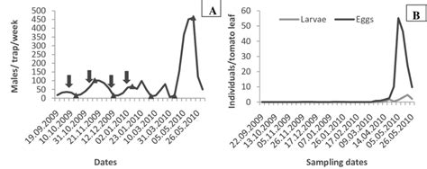 Evolution Of Mass Trapping A And Population Dynamics B Of T