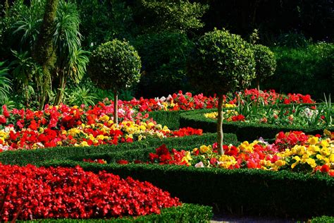 Jardin fleuri