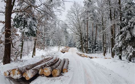 Winter Road Forest Timber Landscape Wallpaper 2560x1600 163558