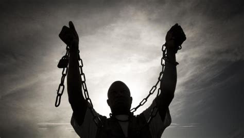 El libro de el esclavo es un libro de autobiografia, escrita por francisco j. La psicología del esclavo agradecido - Plumas libres