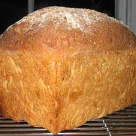 While it's true that sourdough bread can seem intimidating if you're unfamiliar wit. Welbilt Bread Machine Recipes Raisin Bread - Carles Pen