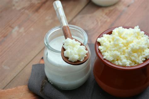 Kefir é bem diferente de iogurte entenda o que muda Blog da Georgia