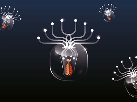 Plankton By Mᴧuco Sosᴧ On Dribbble