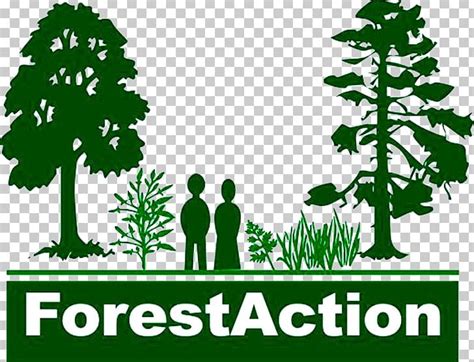 Forestry Organization Logo Sustainable Forest Management Png Clipart