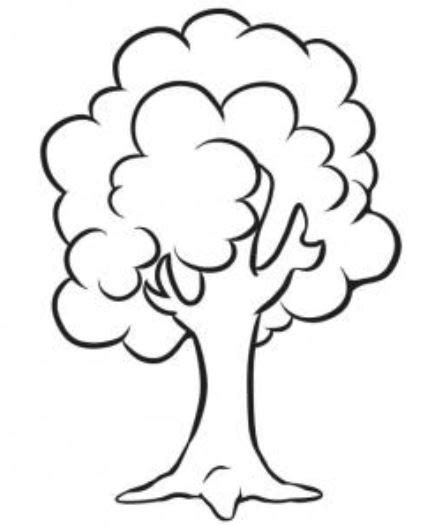 Drzewo Pohon Sketsa Druku Raseone Kolorowanka Drzewa Arbor Printable