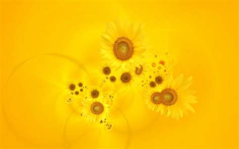 Bright Yellow Sunflowers Wallpapers Hd Wallpapers Id 9880