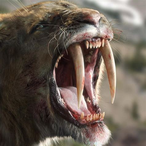 Smile Its Smilodon Better Known To Us As The Saber Tooth Tiger This