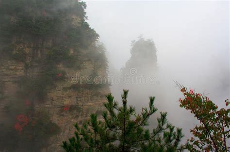 Mysterious Mountain Zhangjiajie Stock Image Image Of Avatar Cliff