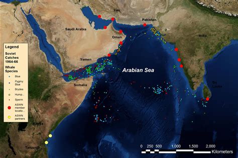 Arabian Sea 13 Interesting Facts 2023