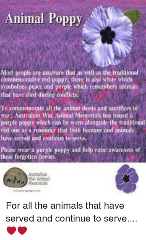 Purple Animal Poppy Most People Are Unaware That As Well As The