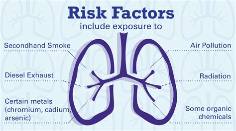 Lung Cancer Risk Factors Infographic Infographic List Vrogue Co