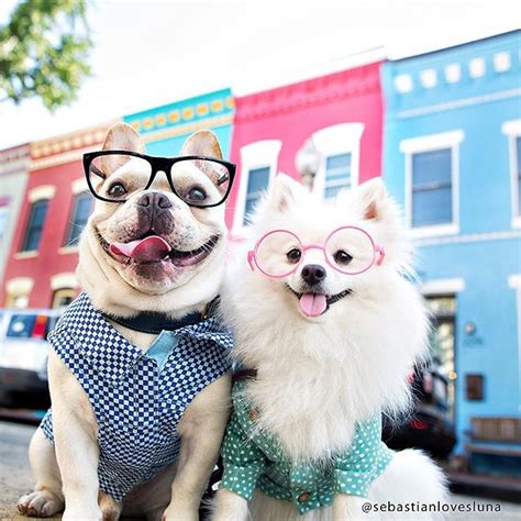 101 Hipster Inspired Dog Names Barkpost