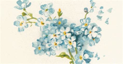 Antique Images Free Vintage Flower Graphic Blue Forget