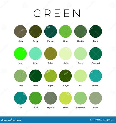 Green Color Shades Swatches Palette With Names Stock Vector