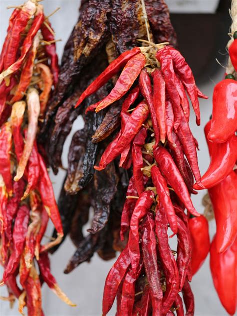 Drying Hot Peppers Tips On How To Store Peppers
