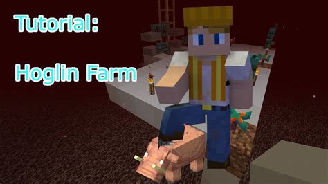 Hoglinfarm Tutorial Minecraft 116 Youtube