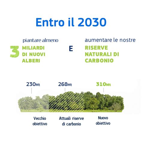 La Strategia Forestale Dellunione Europea Europe Direct Firenze