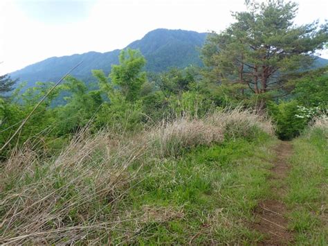 名站推薦 tips：2021年6月24日 已更新失效連結 total 13 ». 加瀬山