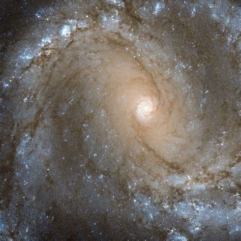 In The Center Of Spiral Galaxy M61 Spiral Galaxy Hubble Space