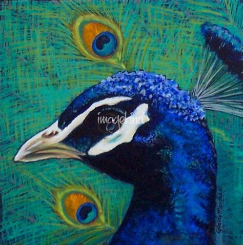 Contemporary Peacock Painting Reproductions For Sale On Fine Art Prints