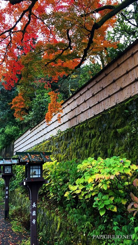 Kyoto Fall Wallpapers On Wallpaperdog
