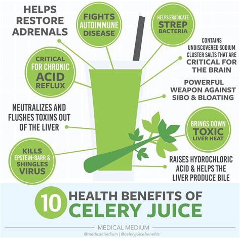 Is Celery Juice Benefits Health Benefits