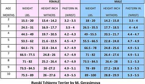 weight of boxer puppy chart