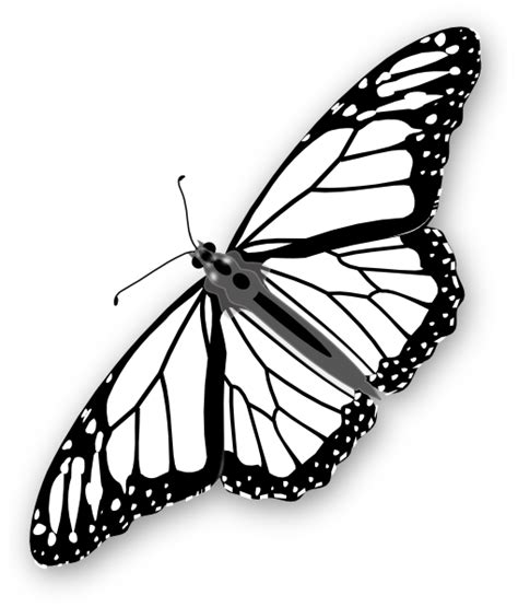 Monarch Butterfly Bw Clip Art At Vector Clip Art Online