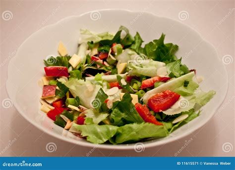 Garden Salad Stock Image Image Of Heathy Food Bowl 11615571