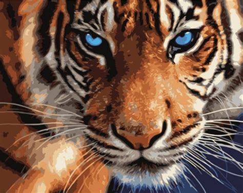 Blue Eyed Tiger Tiger Painting Diamond Paint 5d Diamond Painting
