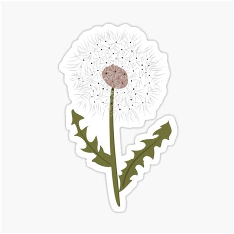 Pink And Rust Dandelions Sticker By Studioposies Redbubble