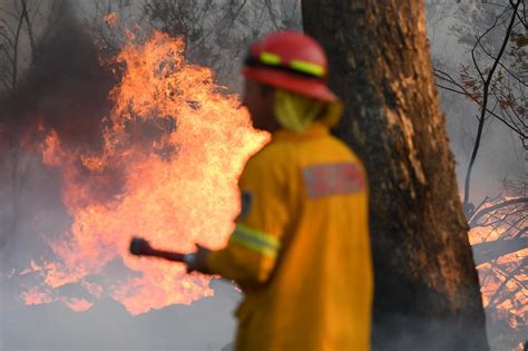 Australia Bushfires New South Wales Declares Emergency As