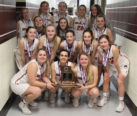 Lady Wildcats Go To State