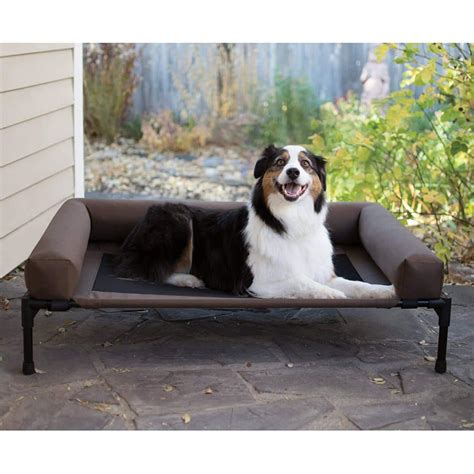 20 Best Elevated Dog Beds Reviews Updated 2019 Dog