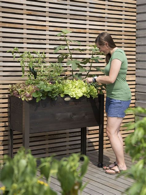 Eco Stained Self Watering Standing Height Planter Box Self Watering