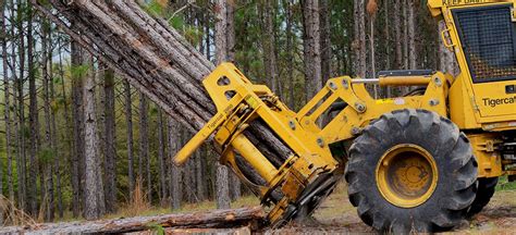 Tigercat G Feller Buncher Versatile For Thinning And Final Felling