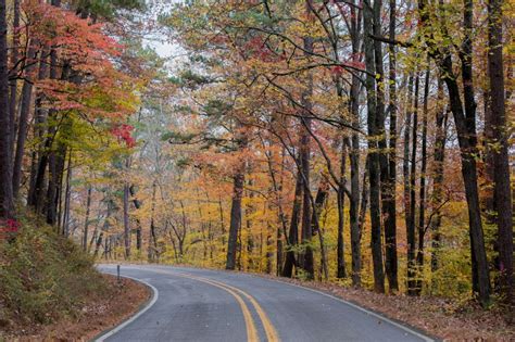 Arkansas In Fall Foliage Road Trips And Festivals