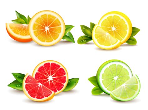 Citrus Fruits Segments 4 Realistic Icons 482244 - Download Free Vectors ...