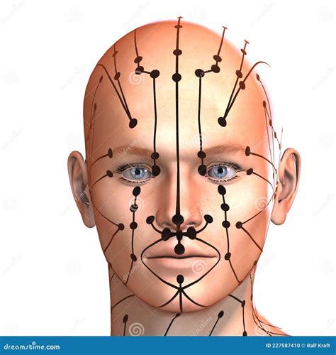 Eastern Or Asian Acupuncture And Acupressure Points On A Male Body