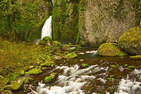 Wahclella Falls In The Columbia River Gorge In Oregon Photograph By