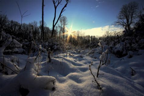 Wallpaper Sunlight Landscape Forest Nature Sky Snow Winter